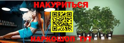гашик Малоярославец